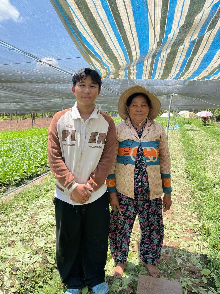 The team with a farmer in a working bok choy field