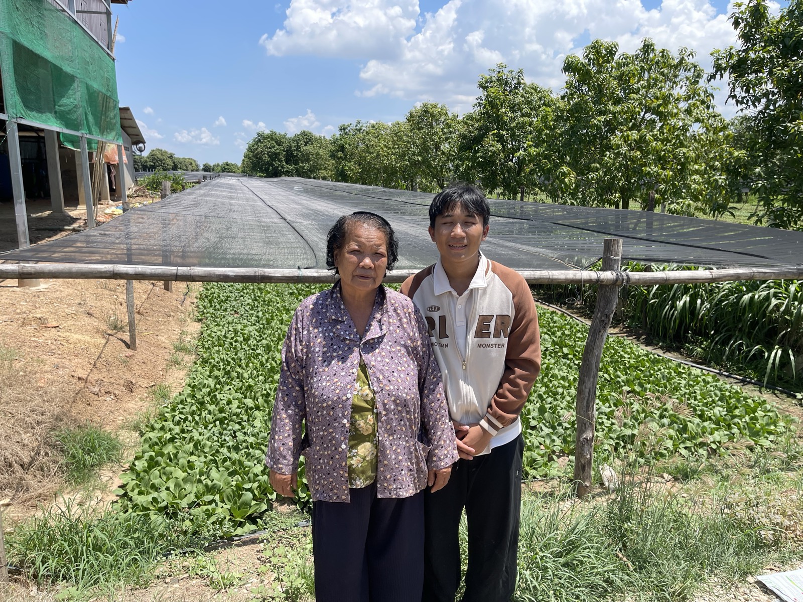 A bok choy farmer with the Chomkar team, Tramkak