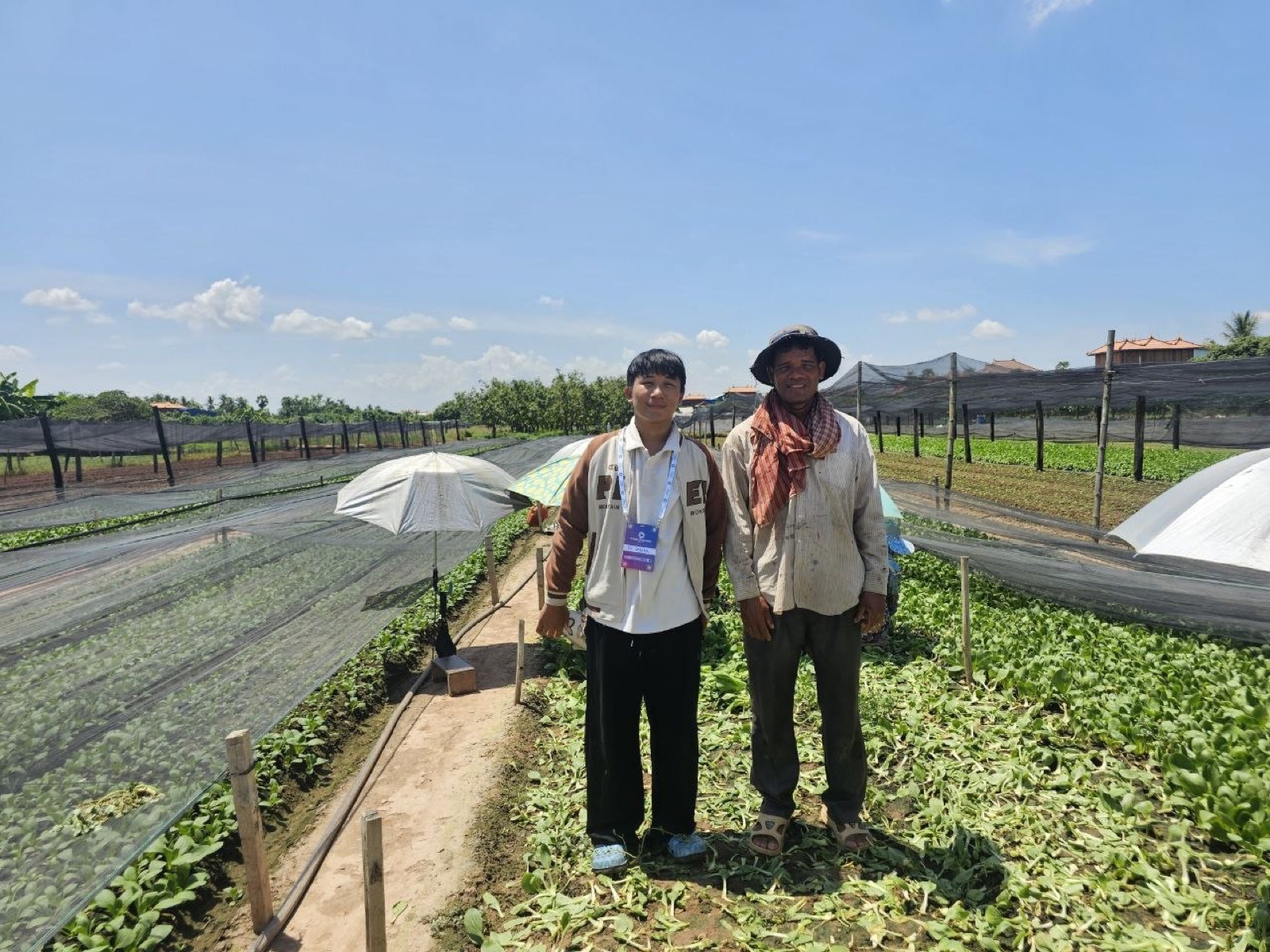 The team with a farmer over the bok choy beds