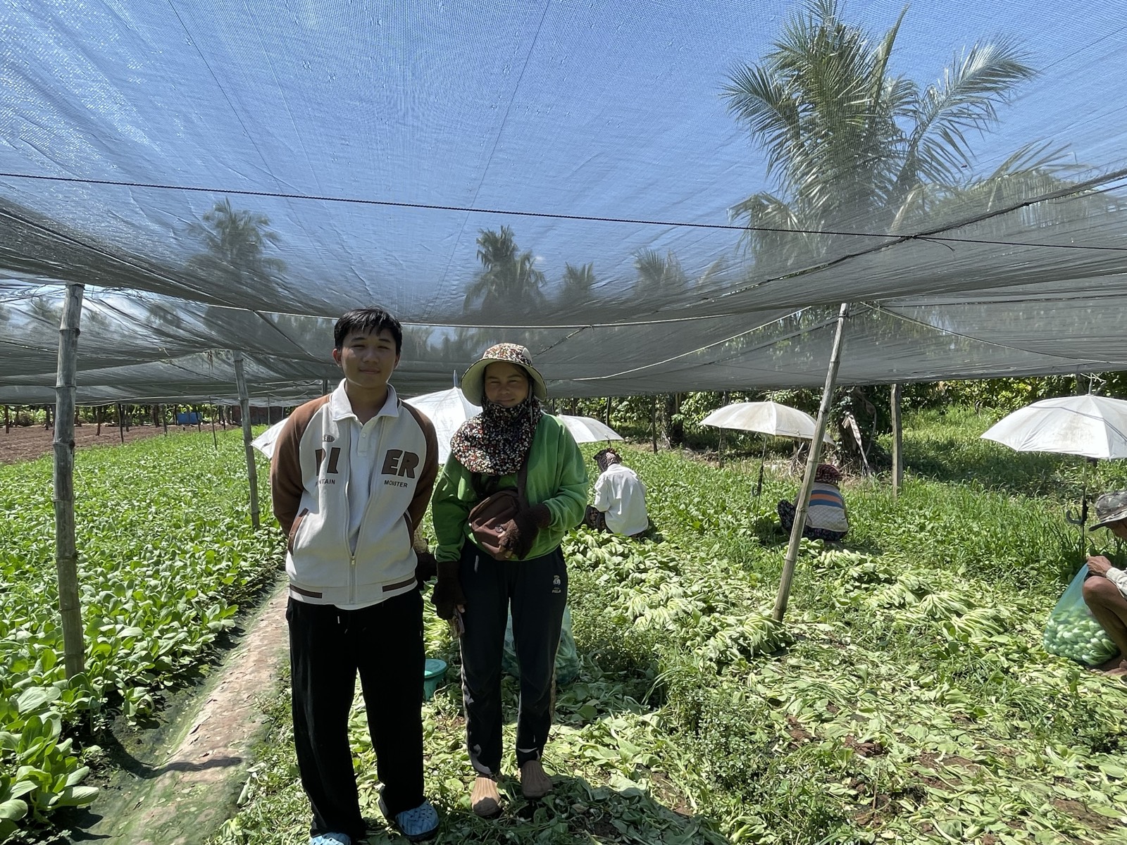 The Chomkar team with a farmer in a bok choy field