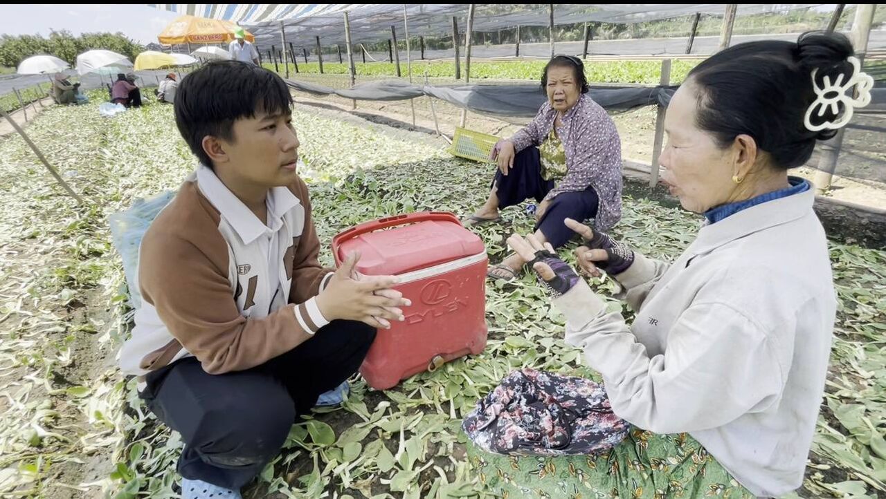 Two farmers standing between bok choy rows under a shade net