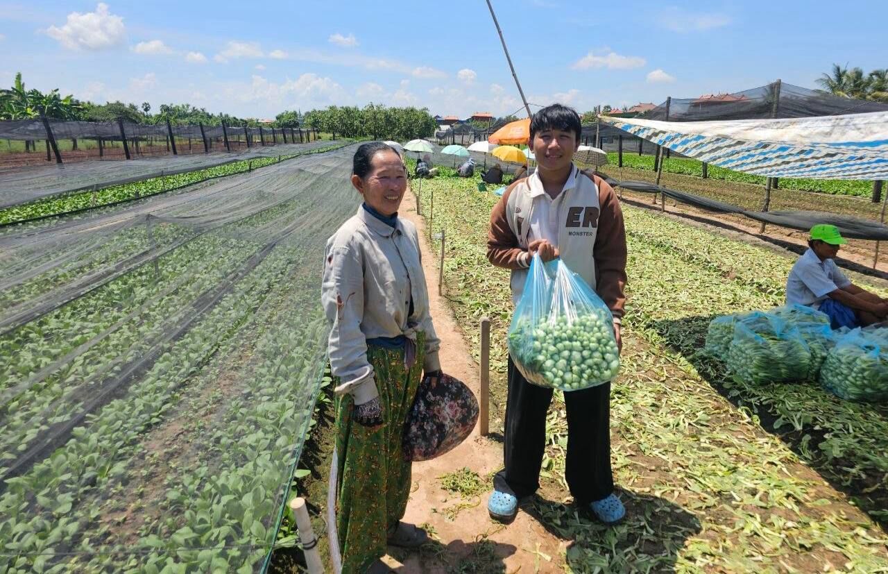 A Chomkar team member with a farmer and a cooler of bok choy, Kang Meas
